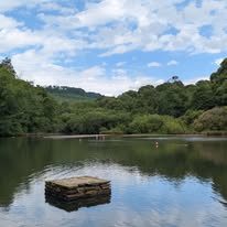 Margam Park lake